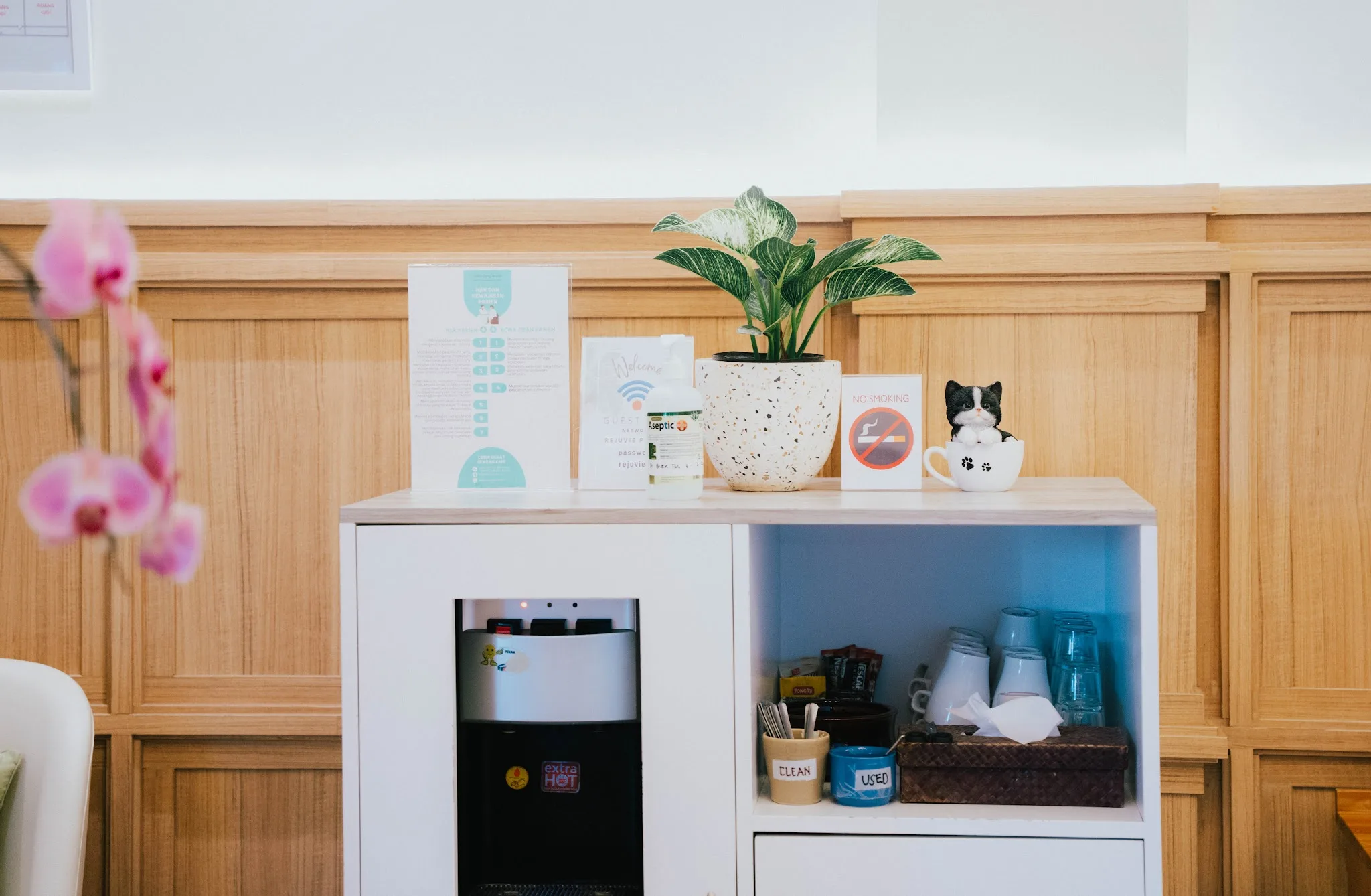 Reception/waiting area with high ceilings, decorative wall art, pendant lights, plant shelving, white cabinetry. Warm but slightly overexposed.